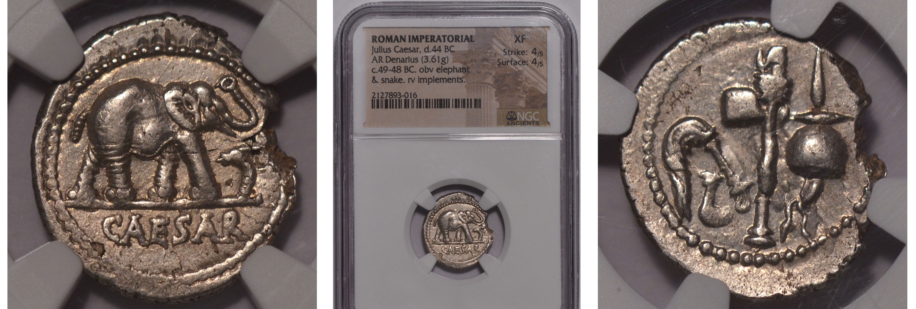 World Coins - Ancients - Elephant Denarius NGC XF